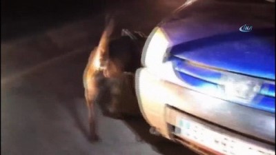 uyusturucu madde -  Van’da 29 kilo 601 gram eroin ele geçirildi  Videosu