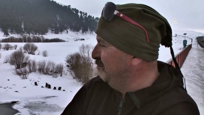 Ardahan'da su samuru görüntülendi 