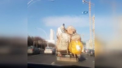 tehlikeli yolculuk -  Başkent’te yüklü kamyonet üzerinde tehlikeli yolculuk kamerada  Videosu