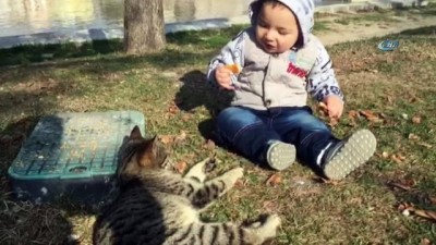 sokak kedisi -  Kediyle simidini paylaşan çocuğun sevimli halleri kameraya yansıdı  Videosu
