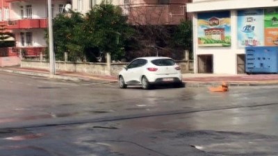 market -  Yol ortasında alev alan piknik tüpü bomba gibi patladı Videosu