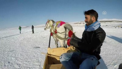 cennet - Buzla kaplı gölün vazgeçilmezi: 'Atlı kızak' - KARS  Videosu