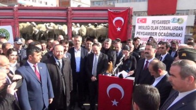 keci -  Kırıkkaleli koyun yetiştiricilerinden Zeytin Dalı’na destek Videosu