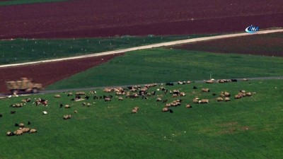 hanli -  Reyhanlı’ya askeri takviye sürüyor  Videosu