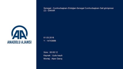 Cumhurbaşkanı Erdoğan-Senegal Cumhurbaşkanı Sall görüşmesi (2) - DAKAR