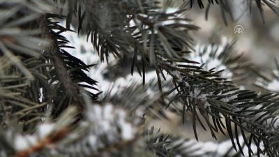 Kar yağışı - KARS 