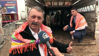 Yörüklerden Zeytin Dalı Harekatına destek - MERSİN 