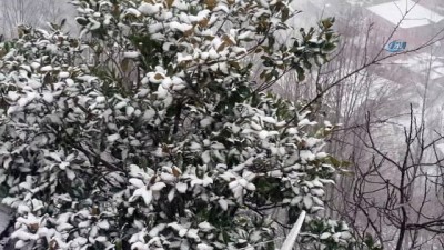 kar surprizi -  Zonguldak beyaza büründü  Videosu
