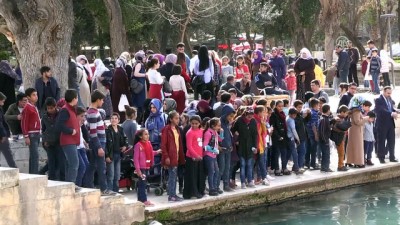 gunesli hava - Balıkgöl yerleşkesi güzel havayı fırsat bilenlerle doldu Videosu