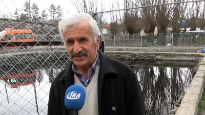  Çankırı'daki 'asker balıklar'ın Afrin'e gittiği düşünülüyor 