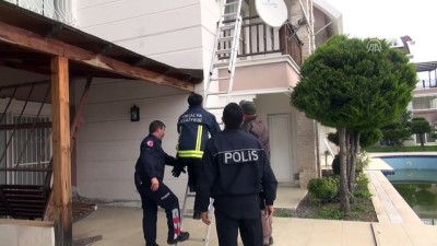 kurtarma operasyonu - Kedi kurtarma operasyonu - ANTALYA Videosu