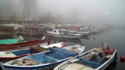Tekirdağ'da yoğun sis 