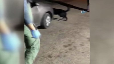 sentetik -  Kahramanmaraş’ta uyuşturucu operasyonu  Videosu