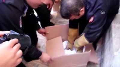 itfaiye araci - Minarede mahsur kalan atmaca kurtarıldı - ŞANLIURFA  Videosu