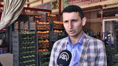 tropikal meyve - Don olayı ve yoğun talep avokado fiyatını yükseltti - ANTALYA  Videosu