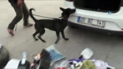 metamfetamin -  Otomobilin tavanına saklanan uyuşturucu detektör köpekle bulundu  Videosu