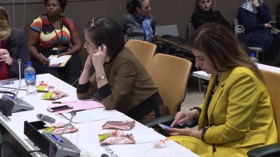 sosyal guvenlik - Bakan Kaya, 'Kırsalda Kadınların Güçlendirilmesi, Türkiye Perspektifi' etkinliğinde konuştu - NEW YORK  Videosu