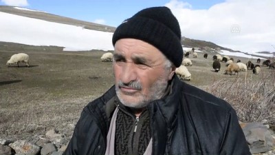 erimli - İki mevsim bir arada - ARDAHAN  Videosu