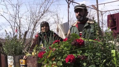 canli kalkan - Afrin kırsalında eve dönüş heyecanı - AFRİN  Videosu