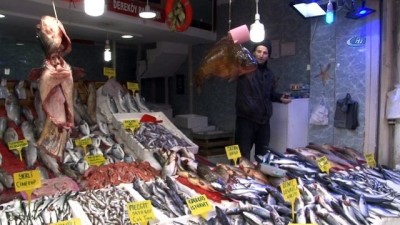 kirikli -  Dev balıklar görenleri şaşırttı... 10,5 kiloluk sazan ilgi odağı oldu  Videosu