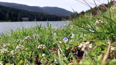 deniz seviyesi - Gölcük, tatilcilerin ilgi odağı oldu - BOLU  Videosu