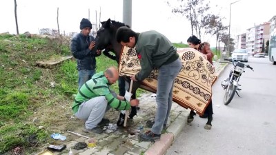 sosyal medya - Ayağı kırılan atı iyileştirmek için seferber oldular - EDİRNE Videosu