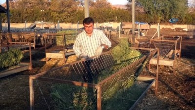 hayvancilik -  Tarla haline getirilen meralar hayvancılığı engelliyor  Videosu