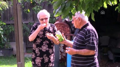 yasli cift - 'Yaşlılar hiçbir zaman unutulmasın' - MELBOURNE  Videosu