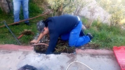 kurtarma operasyonu - Köprüye sıkışan köpek kurtarıldı - ANTALYA  Videosu