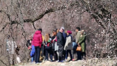 yabanci turist - Akdamar Adası çiçek açtı - VAN  Videosu