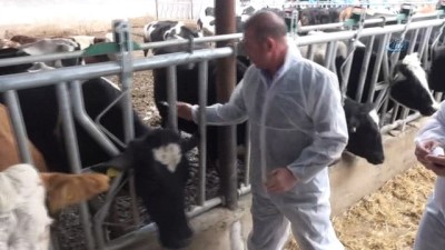 hastalik -  Aksaray’da buzağılar ölmesin sloganıyla eğitim ve aşılama başladı  Videosu