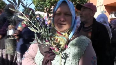 salacak -  Efeler Belediyesi'nden 'Zeytin Dalı Harekatı'na zeytin fidanı ile destek  Videosu