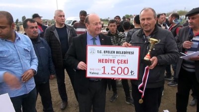 at yarislari -  Efeler'de rahvan at yarışları heyecanı yaşandı  Videosu