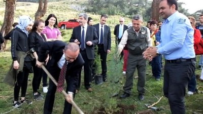  Burhaniye’de hemşire adayları ağaç dikti 