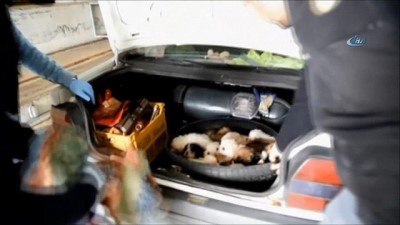 yavru kopekler -  Kapıkule’de yavru köpek operasyonu  Videosu