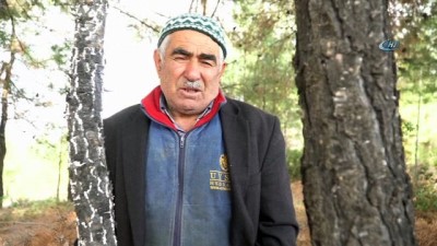  Tütüne alternatif başladı, diğer çiftçilere örnek oldu 