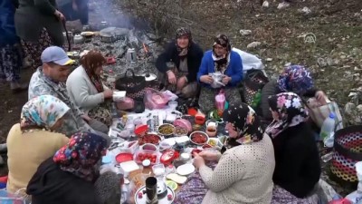 kadin isci - Yangının kül ettiği 350 hektar orman alanı yeşerecek - KÜTAHYA  Videosu