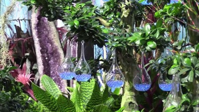 cansiz manken - Avustralya’da '23'üncü Uluslararası Çiçek ve Bahçe Şovu' - MELBOURNE  Videosu