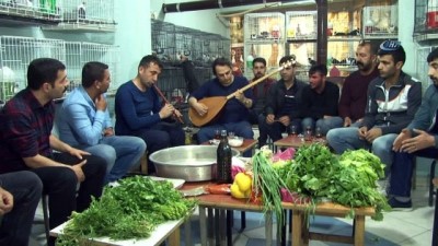guzellik yarismasi -  Diyarbakır’da güvercinler için sazlı sözlü çiğköfte partisi verildi  Videosu