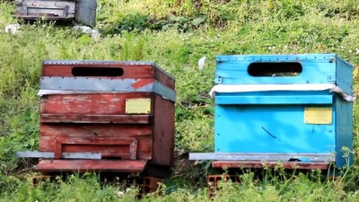 eylem plani - DOKAP 2. Kalkınma Eylem Planı'na hazırlanıyor - GİRESUN  Videosu