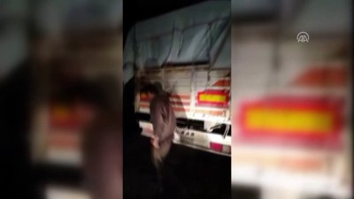 kamyon kasasi - Kaçak göçmen operasyonu - Afganistan ve Pakistan uyruklu 502 kişi yakalandı - ERZURUM Videosu