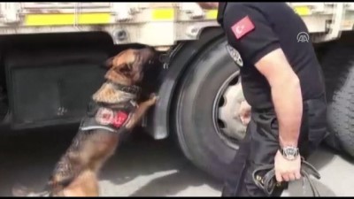 dedektor kopek - Uyuşturucu operasyonu - MERSİN  Videosu