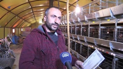 market - Çadırda ürettiği yumurtaları Türkiye'ye pazarlıyor - ERZURUM  Videosu