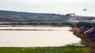 gubre -  Ergene taştı, konutların deposunu su bastı  Videosu