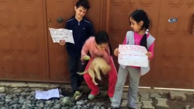 ilkokul ogrencisi -  İlkokul öğrencisi çocuklardan sokak hayvanları için broşür  Videosu