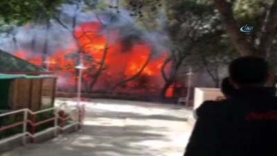 guvenli bolge -  Antalya Atatürk Parkı'nda korkutan yangın  Videosu