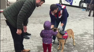  Jandarmadan köpekli yol denetimi