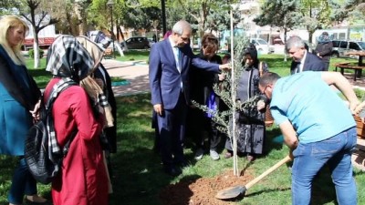 sehit annesi -  Afrin şehidinin annesi oğlunun adının verildiği parka zeytin fidanı dikti  Videosu