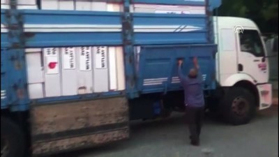 kacak - Alanya'da kaçak sigara operasyonu - ANTALYA  Videosu