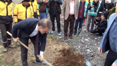 zeytin agaci -  Esenyurt'ta Denetimli serbestlik hükümlüleri ağaç dikti Videosu